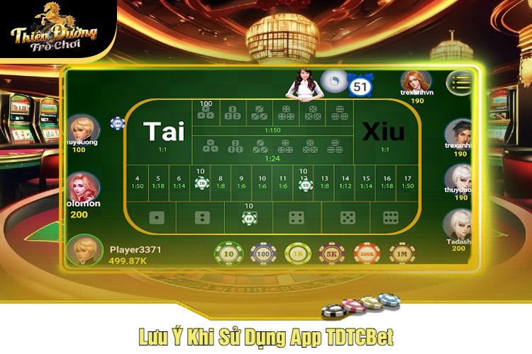 Lưu Ý Khi Sử Dụng App TDTC