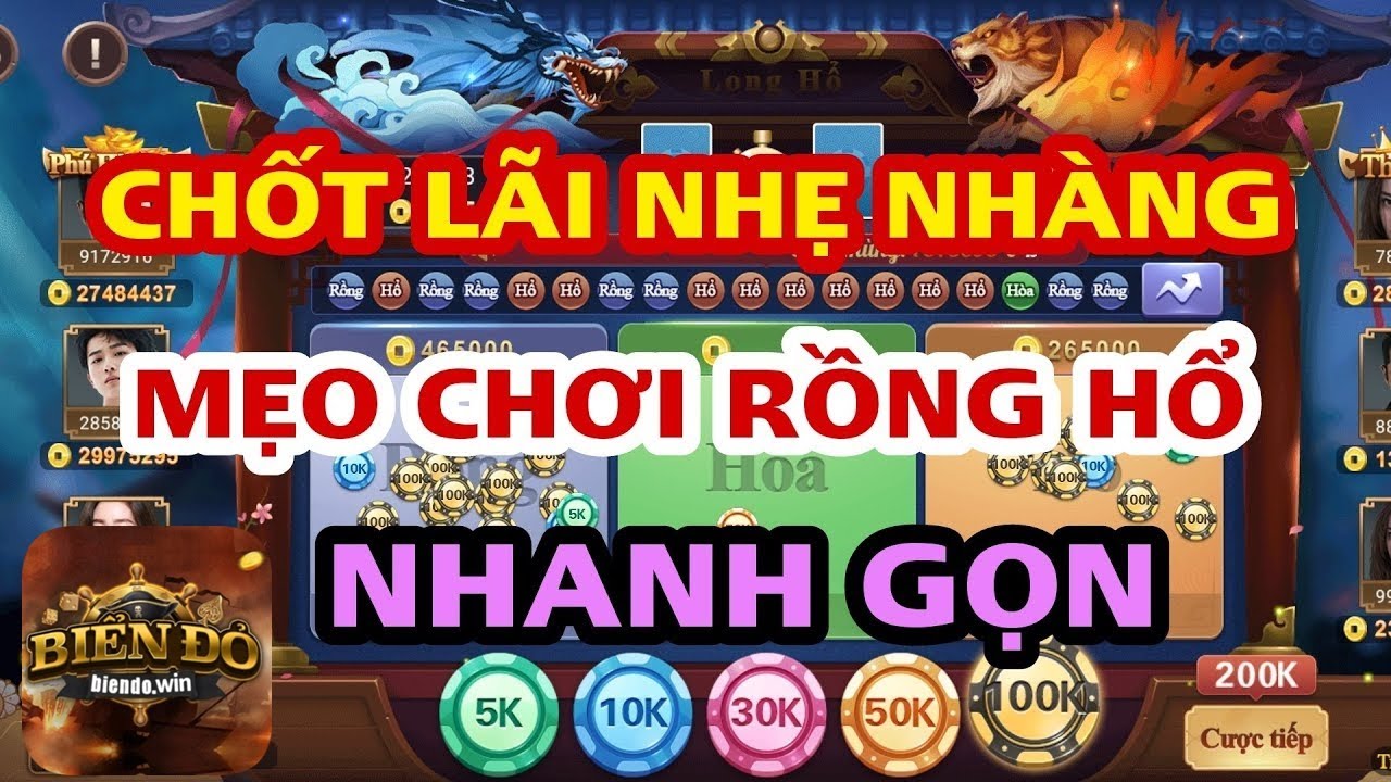 Khám Phá Bí Mật Của Rồng Hổ TDTC – Hành Trình Hấp Dẫn