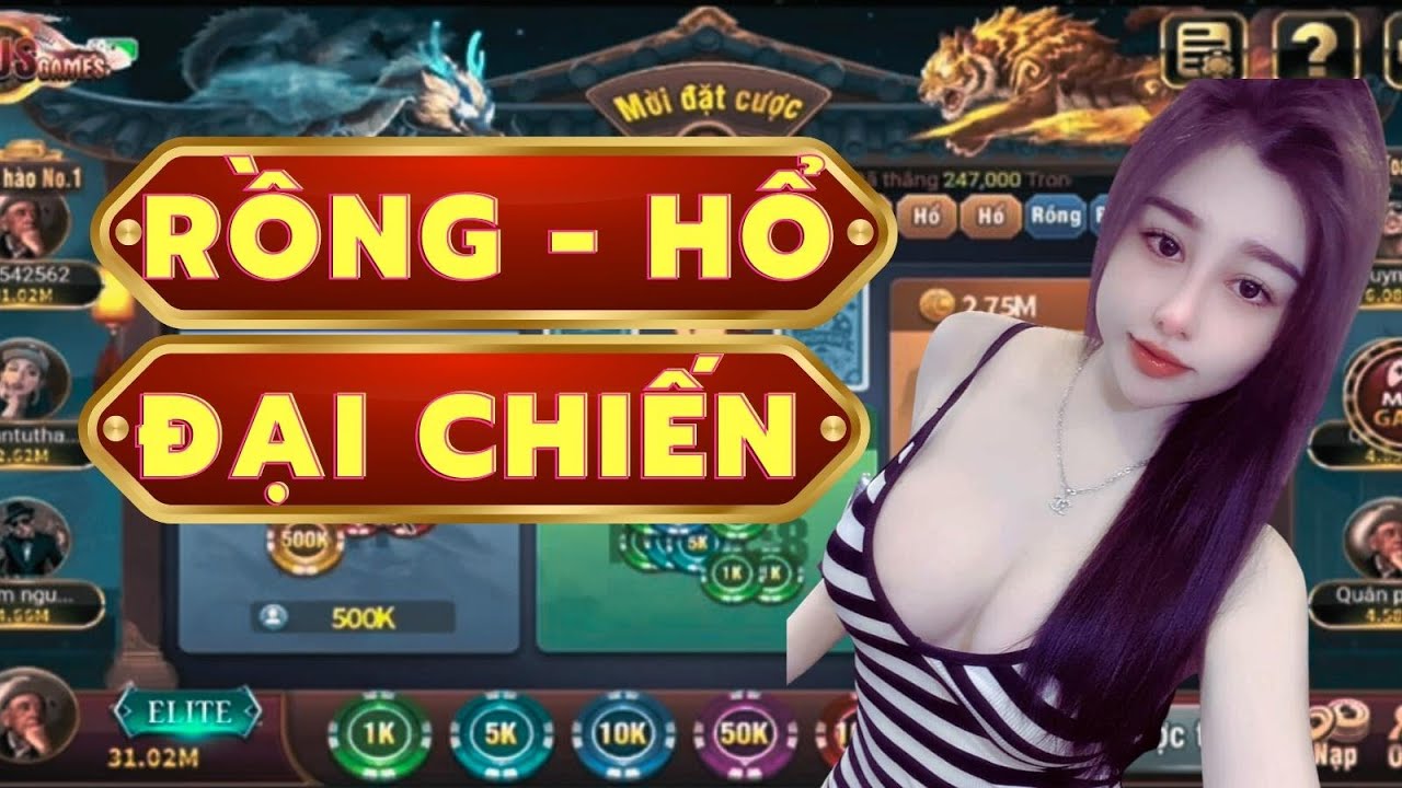 Khám Phá Bí Mật Của Rồng Hổ TDTC – Hành Trình Hấp Dẫn